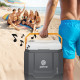 Автомобільний холодильник з Bluetooth Peme Trip 31.5 л Adventure Orange (9383035)