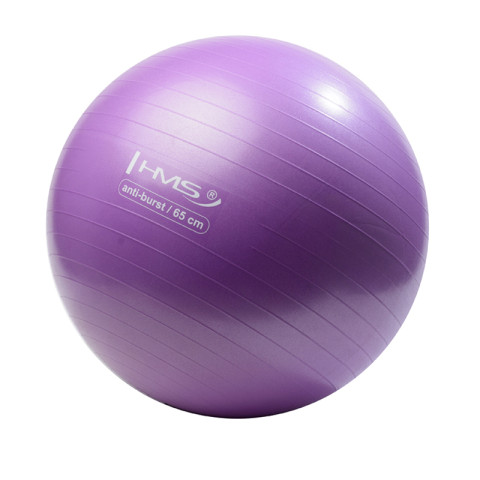 М'яч для фітнесу HMS YB02 NEW 65CM PURPLE ANTI-BURST (17-42-176)
