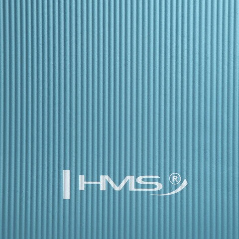 Килимок для йоги HMS YM07 (17-44-136)