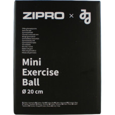 Міні-м’яч Zipro PVC, 20 см/110 г (13112336)